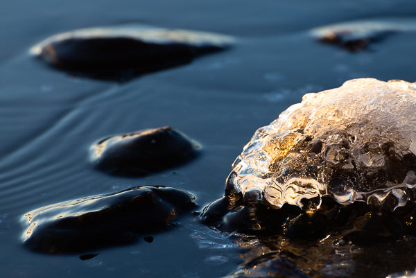 Siljans guld I (inkl. inramning)