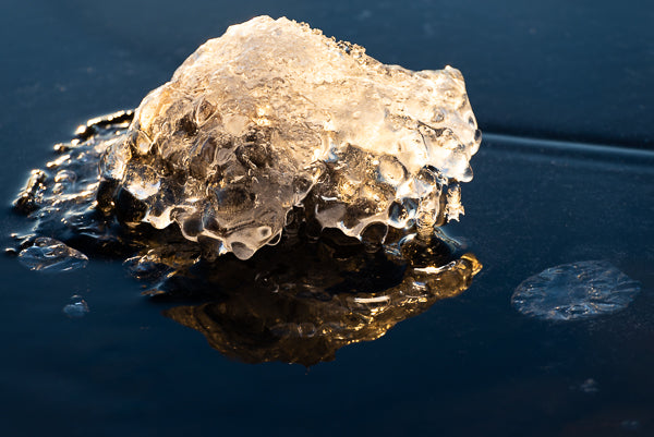 Siljans guld II (inkl. inramning)